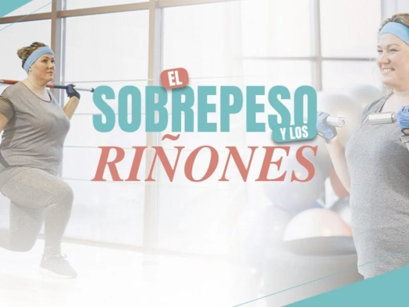 el sobrepeso y los rinones astrid hernandez