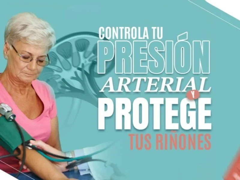 la presion arterial alta y los rinones astrid hernandez